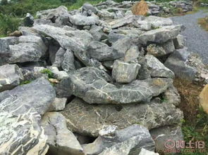 英德市望埠鎮宏業奇石場 熱賣促銷 阿土伯網