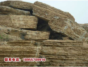 千層石 博雅園林石