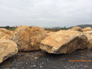 供應福建省黃蠟石 風景石 園林石 刻字石 太湖石,供應福建省黃蠟石 風景石 園林石 刻字石 太湖石生產(chǎn)廠家,供應福建省黃蠟石 風景石 園林石 刻字石 太湖石價格